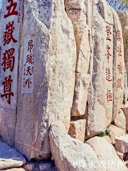 泰山强势反弹偶然抑或必然？内部惋惜本该拿下海港